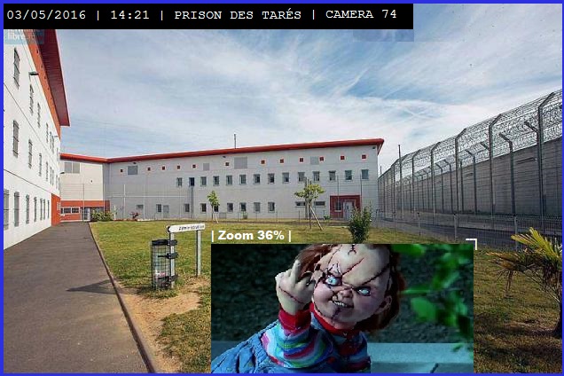 photo-1446133392-408790